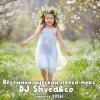 封面 DJ Shved&co - Весенний русский попсо-микс (апрель 2026) DJ Shved&co - Весенний русский попсо-микс (апрель 2026)