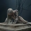 封面 Anyma & LISA - Bad Angel Anyma & LISA - Bad Angel