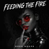 封面 ANONFX - FEEDING THE FIRE ANONFX - FEEDING THE FIRE