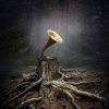 封面 Борис Гребенщиков - Безъядерная Зона (Виктор Цой) Борис Гребенщиков - Безъядерная Зона (Виктор Цой)