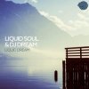封面 NE DALEN - Liquid Dream NE DALEN - Liquid Dream