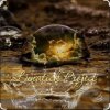 封面 Lunatick Project - When You Can Not Sleep Lunatick Project - When You Can Not Sleep