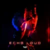 封面 Twist3d Boys - Echo Loud Twist3d Boys - Echo Loud
