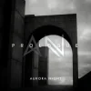 封面 Aurora Night - Prologue Aurora Night - Prologue