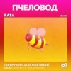 封面 RASA - Пчеловод (Dobrynin & Alex Shik Radio Edit) RASA - Пчеловод (Dobrynin & Alex Shik Radio Edit)