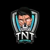 封面 TNT Records - Dream Of Fire TNT Records - Dream Of Fire