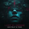 封面 Sam Feldt & TAME - Lost In Desire Sam Feldt & TAME - Lost In Desire