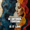 封面 Dj Antonio & TomYam - Is It Love Dj Antonio & TomYam - Is It Love