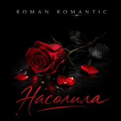 Обкладинка ROMAN ROMANTIC - Насолила