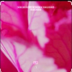 封面 Helsloot & Mees Salome - Solace (Extended Mix)