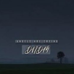封面 DNDM - Angels Are Crying