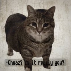 封面 DJ Cheaz - Effector