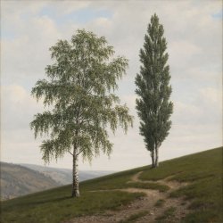封面 Сергей Видов - Берёза и тополь