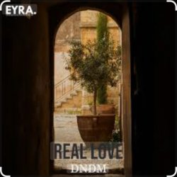 封面 DNDM - Real Love