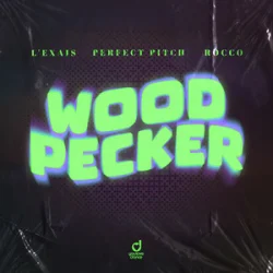 Обкладинка L'EXAIS & Perfect Pitch & Rocco - Woodpecker