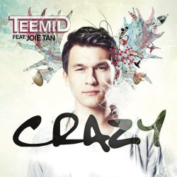 Обкладинка Teemid - Crazy (Club Edit) (Feat. Joie Tan)
