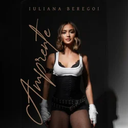 Обкладинка Iuliana Beregoi - Haos si iubire