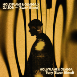 封面 HOLLYFLAME & OLMEGA X DJ JON - Тону (Swan Blend)