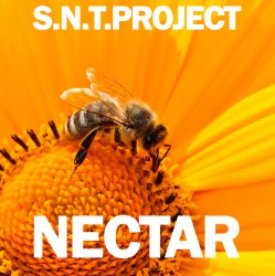 封面 Nectar