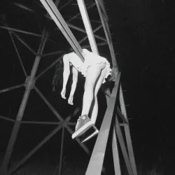 封面 bulletrain - supreme