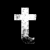 封面 Timagor - Toxic Pulse Timagor - Toxic Pulse