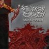 封面 Stillborn Condition - Born of Bile Stillborn Condition - Born of Bile
