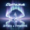 封面 ViTaLiKuS - Душа в тишине ViTaLiKuS - Душа в тишине