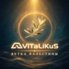 封面 ViTaLiKuS - Ветка Палестины ViTaLiKuS - Ветка Палестины