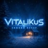 封面 ViTaLiKuS - Зимний вечер ViTaLiKuS - Зимний вечер