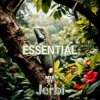 封面 Jerbi - Fav Tracks Mix: ESSENTIAL || Uplifting Trance Mix Jerbi - Fav Tracks Mix: ESSENTIAL || Uplifting Trance Mix