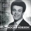 封面 Иосиф Кобзон - Летят перелётные птицы Иосиф Кобзон - Летят перелётные птицы