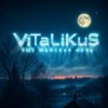 封面 ViTaLiKuS - Ещё майская ночь ViTaLiKuS - Ещё майская ночь