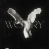 封面 LONOWN & riserayss - worry (Slowed) LONOWN & riserayss - worry (Slowed)