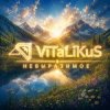 封面 ViTaLiKuS - Невыразимое ViTaLiKuS - Невыразимое