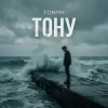 Обкладинка TONYM - Тону TONYM - Тону