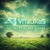 封面 ViTaLiKuS - Гой ты, Русь, моя родная ViTaLiKuS - Гой ты, Русь, моя родная
