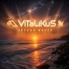 封面 ViTaLiKuS - Летний вечер ViTaLiKuS - Летний вечер