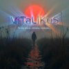 封面 ViTaLiKuS - Те же росы, откосы, туманы… ViTaLiKuS - Те же росы, откосы, туманы…