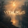 封面 ViTaLiKuS - Безглагольность ViTaLiKuS - Безглагольность