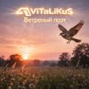 封面 ViTaLiKuS - Ветреный поэт ViTaLiKuS - Ветреный поэт