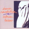 封面 Adrian Belew and Billy Sherwood - Is There Anybody Out There Adrian Belew and Billy Sherwood - Is There Anybody Out There