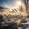 封面 ViTaLiKuS - Весенние воды ViTaLiKuS - Весенние воды