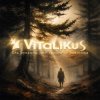 封面 ViTaLiKuS - Ель рукавом мне тропинку завесила… ViTaLiKuS - Ель рукавом мне тропинку завесила…