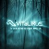 封面 ViTaLiKuS - Нам легко не будет никогда ViTaLiKuS - Нам легко не будет никогда