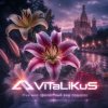 封面 ViTaLiKuS - Мне мил прелестный ваш подарок ViTaLiKuS - Мне мил прелестный ваш подарок