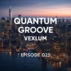 封面 Vexlum - Quantum Groove 025 Vexlum - Quantum Groove 025