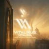 封面 ViTaLiKuS - Средь праздного людского шума… ViTaLiKuS - Средь праздного людского шума…