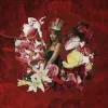 Обкладинка PinkPantheress - Girl Like Me PinkPantheress - Girl Like Me