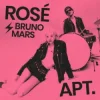 封面 ROSÉ & Bruno Mars - APT (DJ XAN Remix) ROSÉ & Bruno Mars - APT (DJ XAN Remix)
