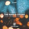 封面 DJ JEDY - The Rain Is Crying DJ JEDY - The Rain Is Crying